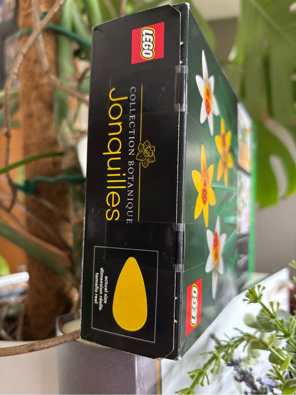 LEGO Botanical Collection - Daffodils - Picture 7 of 7